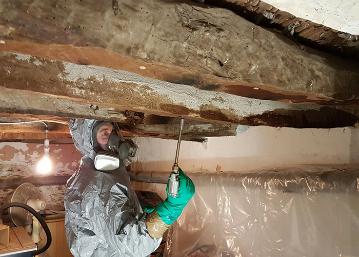 Eradication de termites à Rosny-sous-Bois (93110) en Seine Saint Denis 93, Mr Vees Couverture